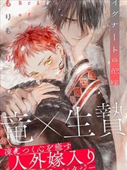 神医赘婿手札 封面